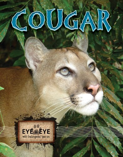 Printable Books For Kids About Cougars